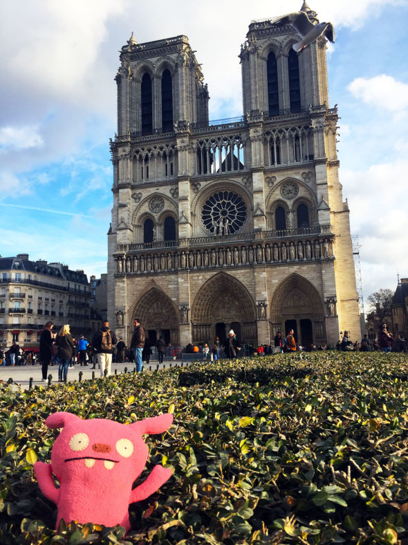 Image of Puglee visiting the Cathédrale Notre-Dame de Paris.