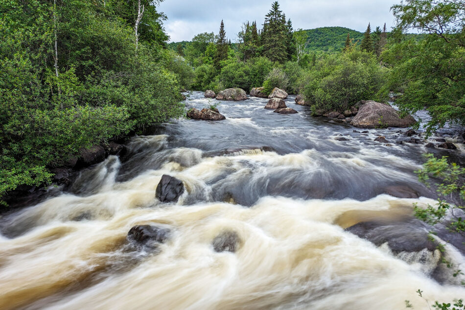 Rushing river with whitewater rapids surrounded by lush green trees and rocks, with a forested hillside in the background.