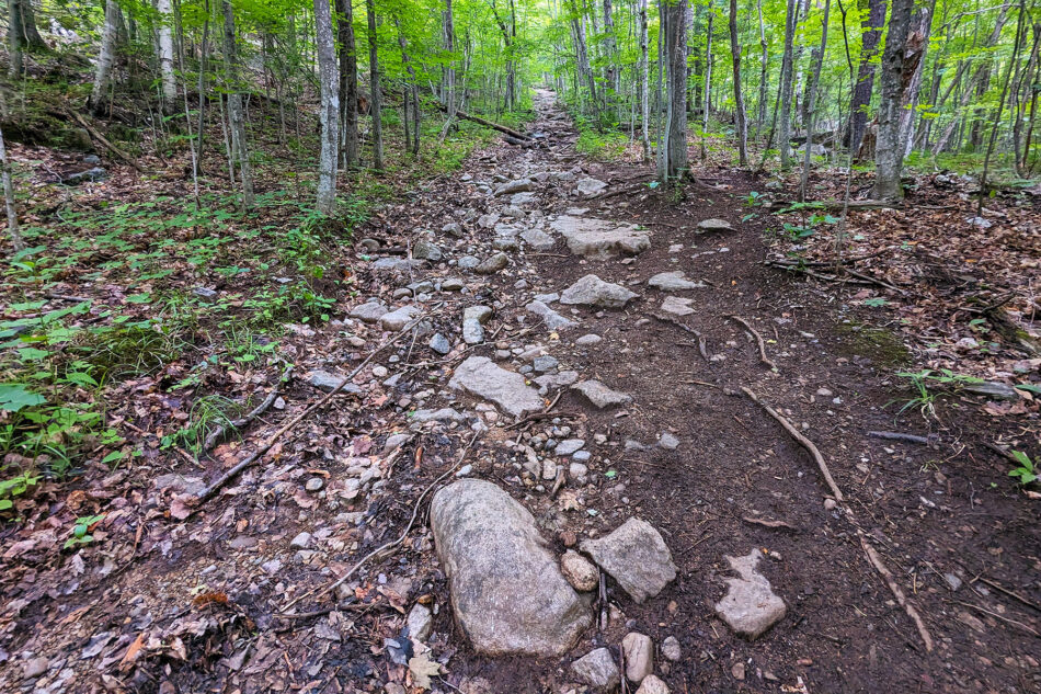 The rocky trail leading up from the Marble Mountain Trailhead.