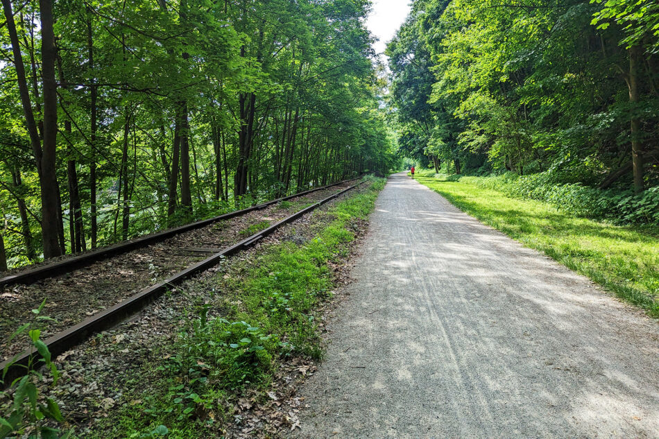 An abandoned railroad track next to the Great Allegheny Passage.