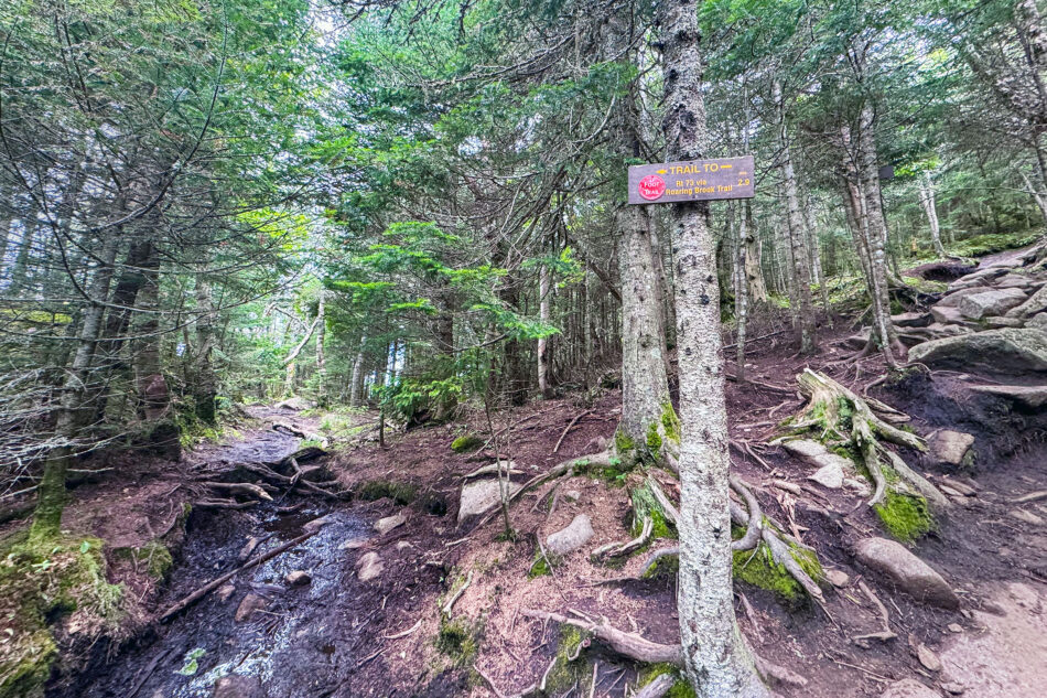 A wooden trail sign reading 'Trail to Rt 73 via Roaring Brook Trail' attached to a tree beside a rocky stream crossing in the forest.