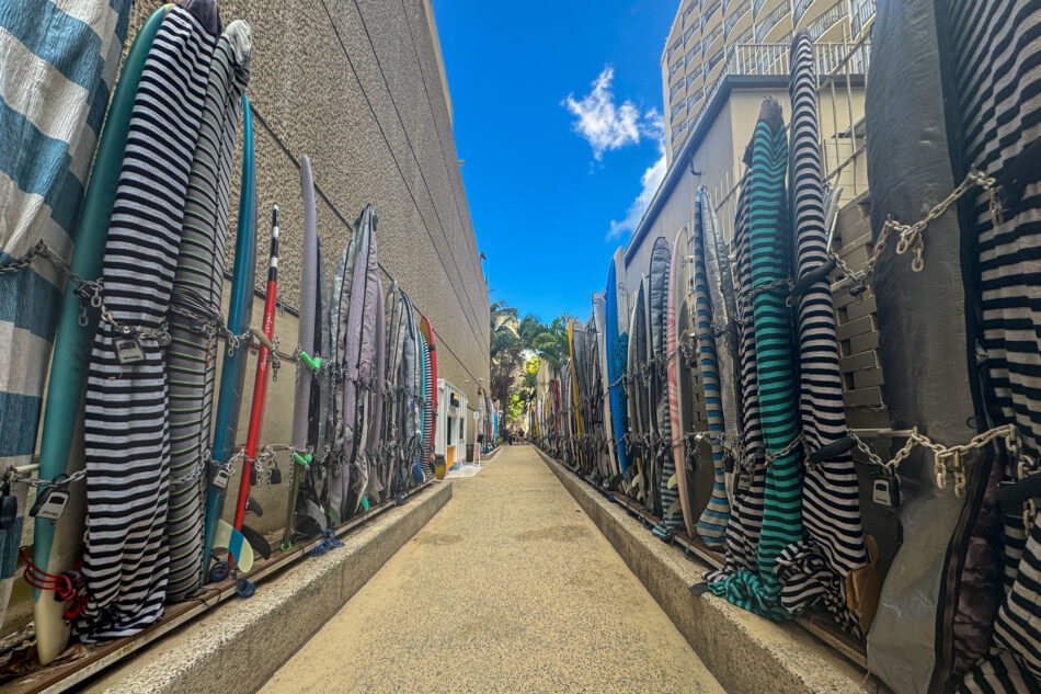 A narrow alley in Waikiki lined with rows of surfboards securely chained, leading to a backdrop of palm trees and bright blue sky.