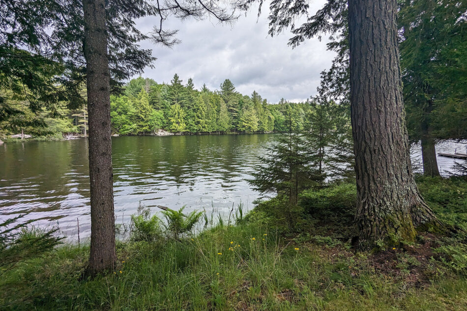 A view of Lake Sagamore through the trees.
