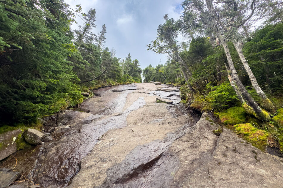A wet, open granite slab cuts through a dense evergreen forest trail leading toward a bright, cloudy sky.