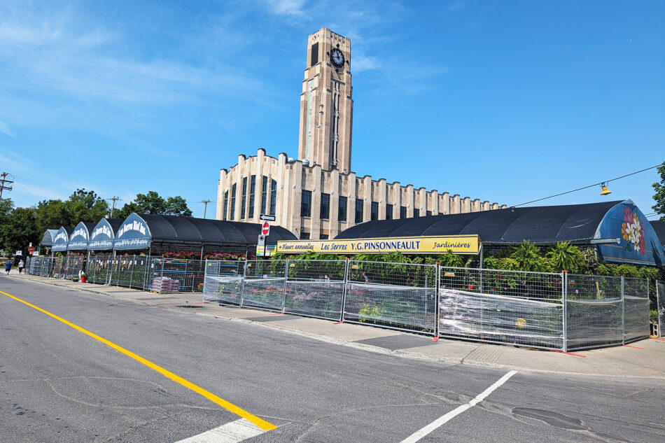 Exterior view of Atwater Market in Montreal, featuring a series of covered tents labeled 'Les Serres Y.G. Pinsonneault Jardineries' filled with flowers and plants. The iconic art deco style building with a clock tower looms in the background under a clear blue sky.