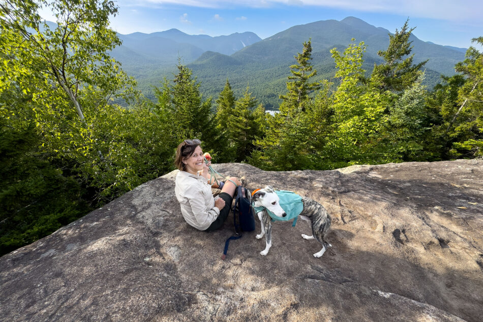 A smiling woman sits on a rocky summit with a gray-and-white whippet wearing a teal backpack, overlooking forested Adirondack peaks and a distant lake.