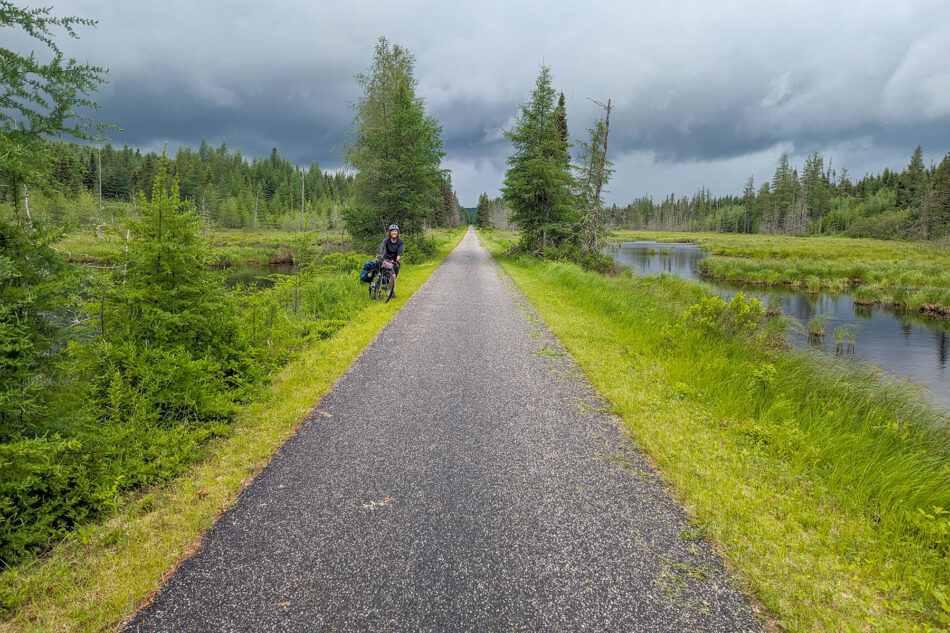 Dharma standing next to a bike on the P'tit Train du Nord trail, with a pathway extending straight ahead surrounded by forest and wetlands.