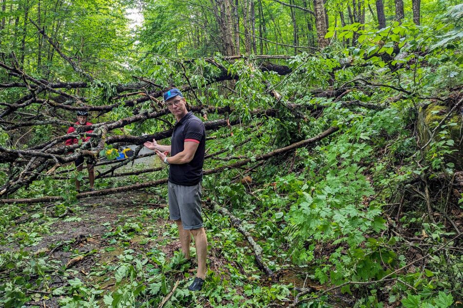 Devon encountering a large fallen tree blocking the P'tit Train du Nord trail in a forested area.