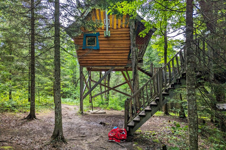 Ground view of the treehouse at Les Toits du Monde, showing the wooden structure elevated on stilts with a staircase leading up, surrounded by forest.