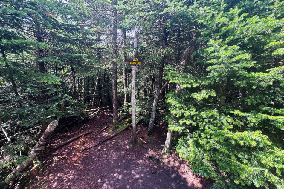 A wooden sign reading 'Nye Mountain' nailed to a tree along a shaded forest herd path, surrounded by dense evergreen trees.