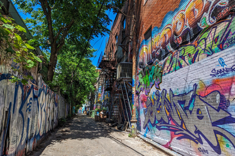 Long alleyway densely covered with colorful graffiti and urban art, flanked by old buildings with external fire escapes, under a clear blue sky.