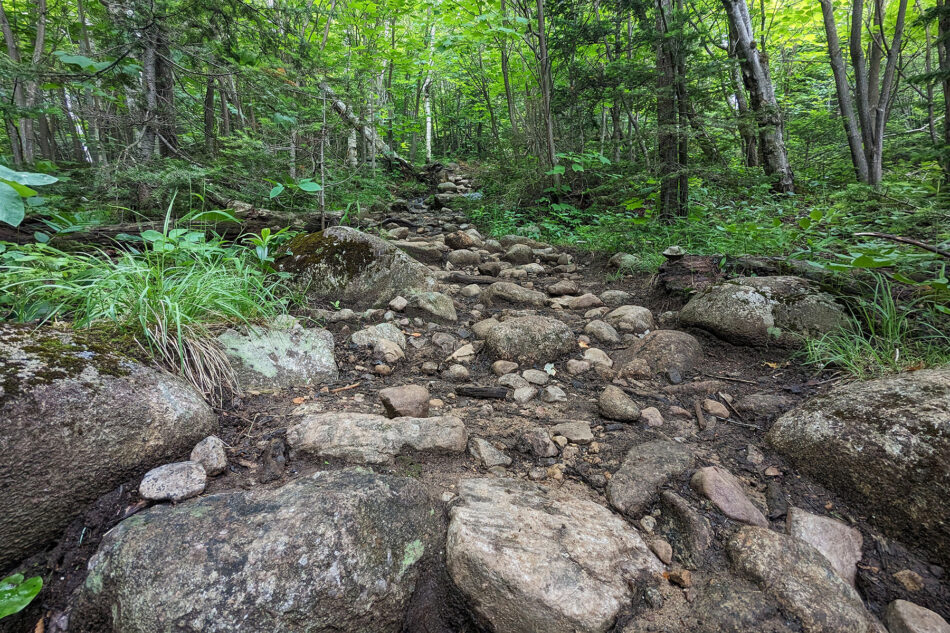 The rocky trail leading up from the Marble Mountain Trailhead.