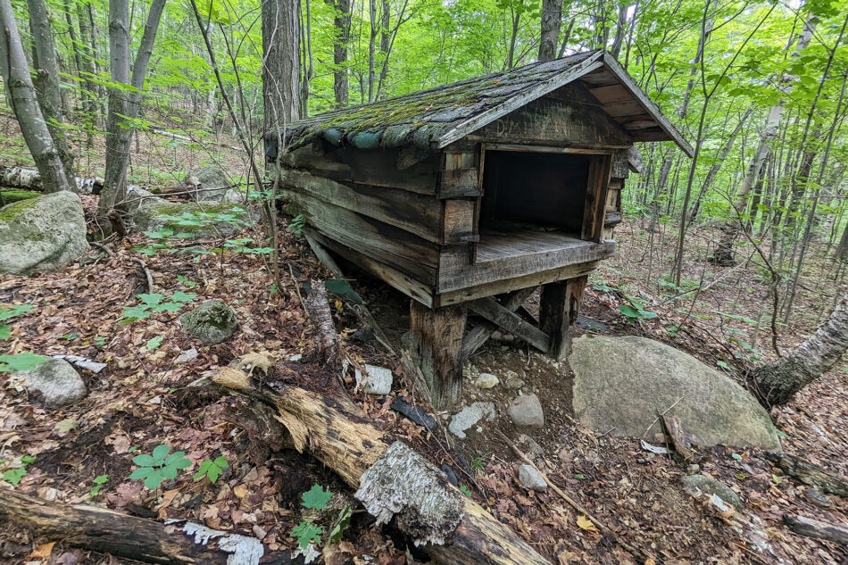 A wooden shelter along the trail.