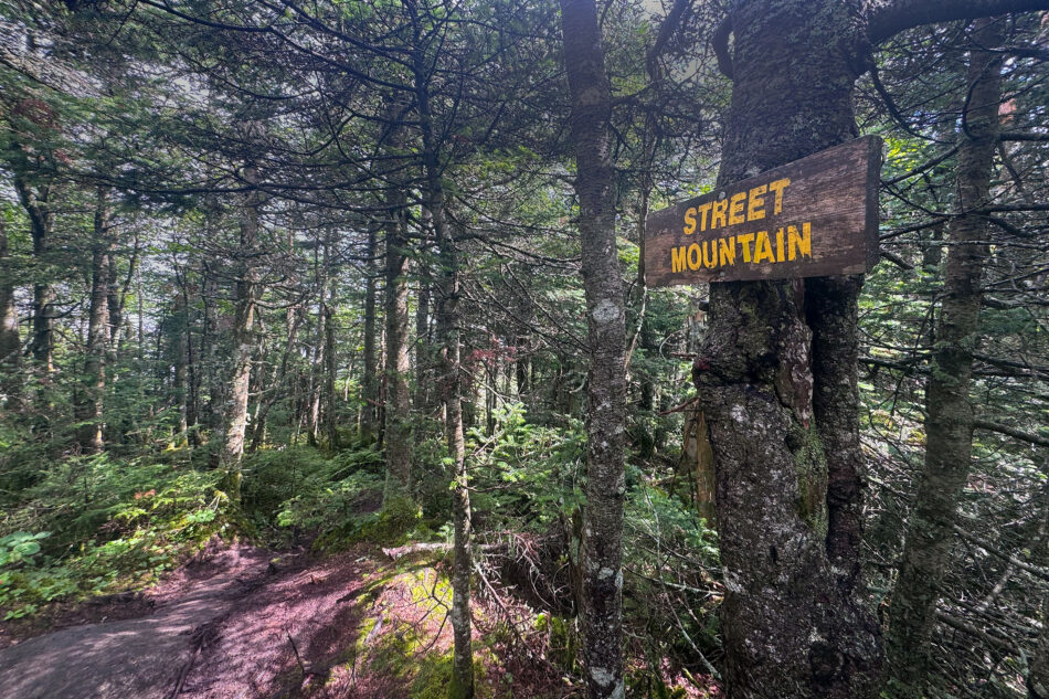 A wooden sign reading 'Street Mountain' attached to a tree along a forest trail, with a worn dirt path visible below.
