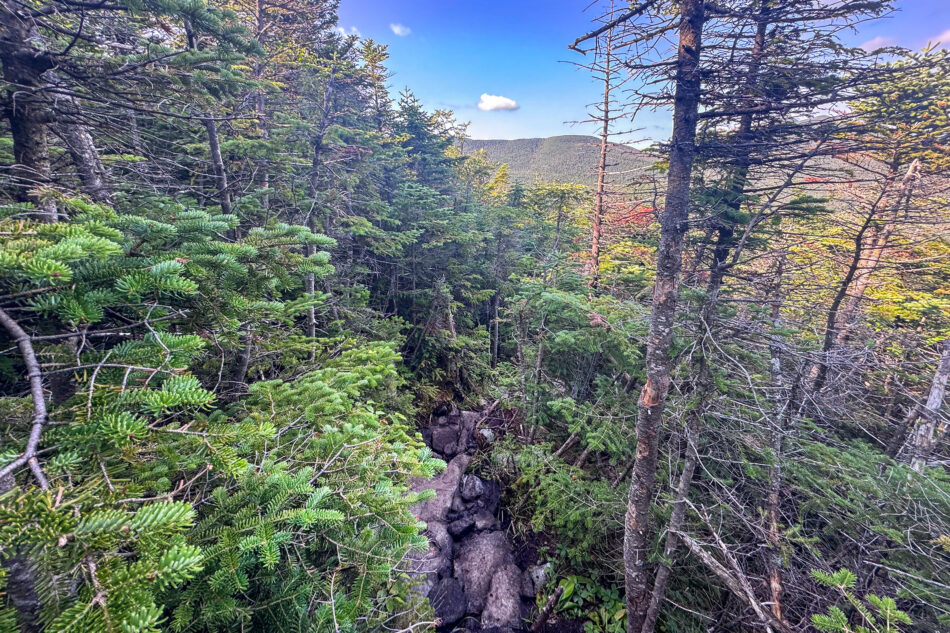 A narrow rock-and-mud trail winds through dense evergreen trees, opening to a view of forested mountains under a blue sky with a single cloud.