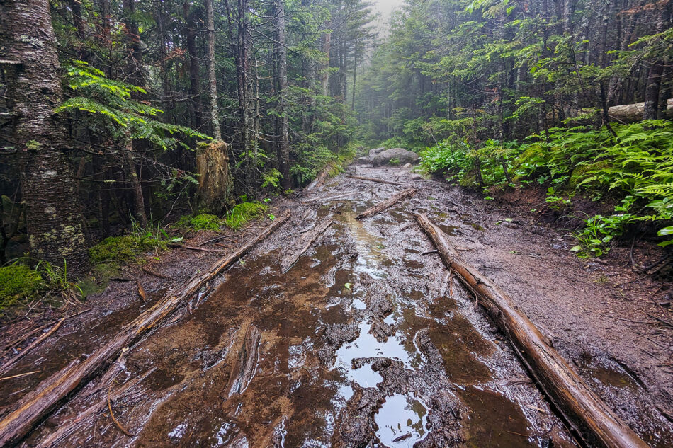 A washed out and muddy trail.