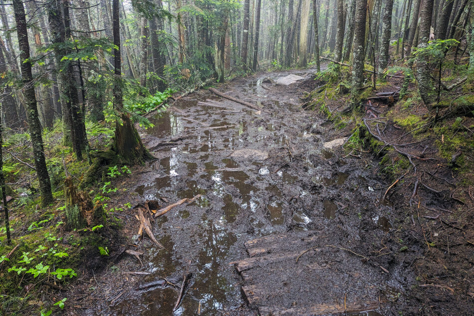 A washed out and muddy trail leading to the summit of Whiteface Mountain. 