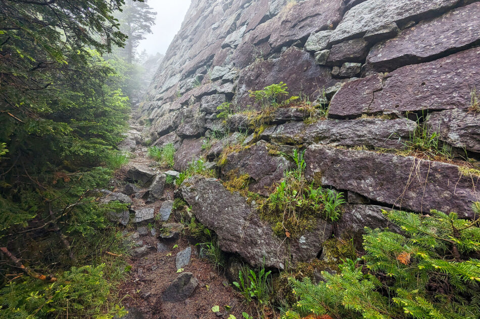 The trail along the road to the summit of Whiteface Mountain. 