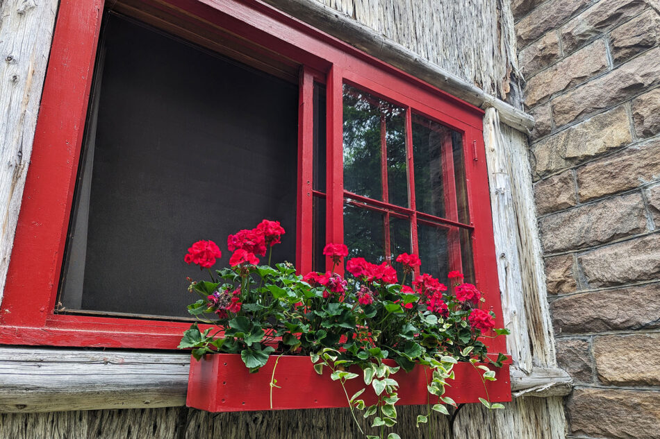 A detail of a red framed window with red flowers in a window box outside Wigwam Cabin.  
