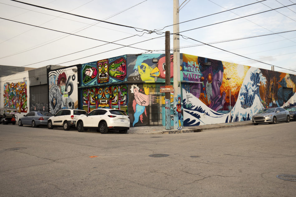 A Streetscape View of Wynwood